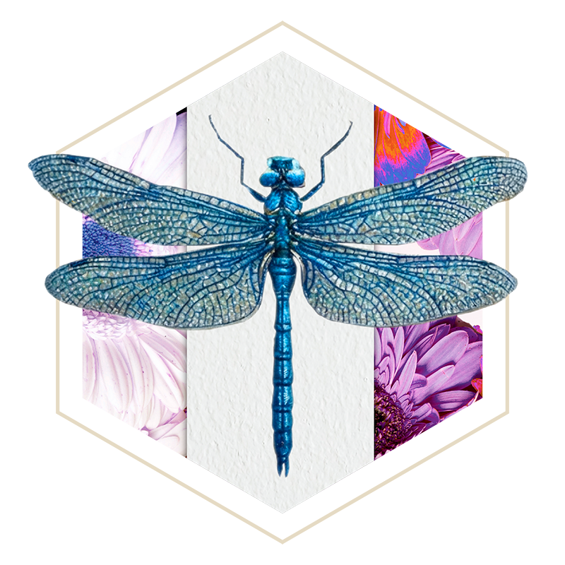 E-liquides Les Pollinisateurs